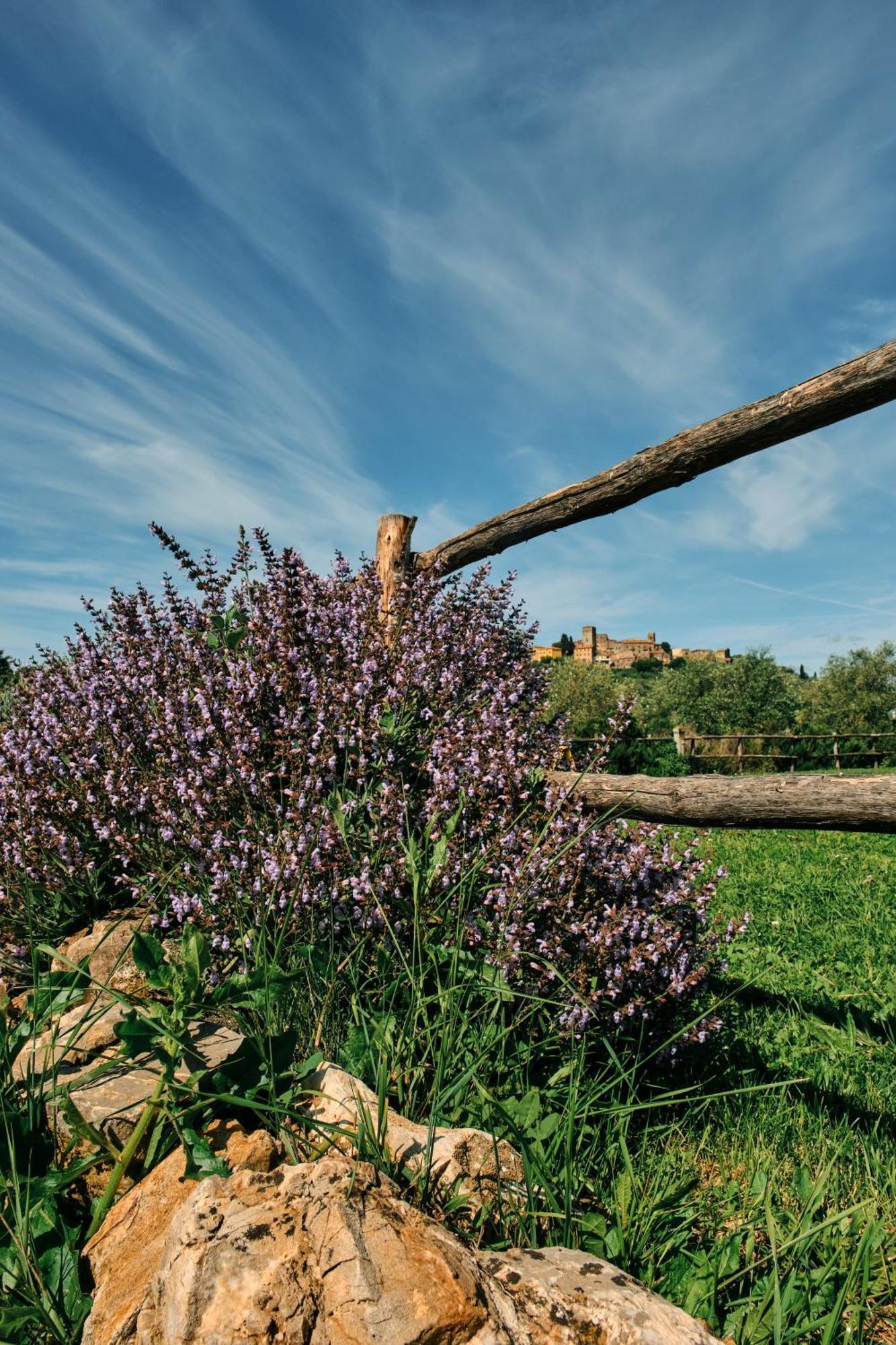 8380 Agriturismo Il Saragiolo Manciano Dış mekan fotoğraf