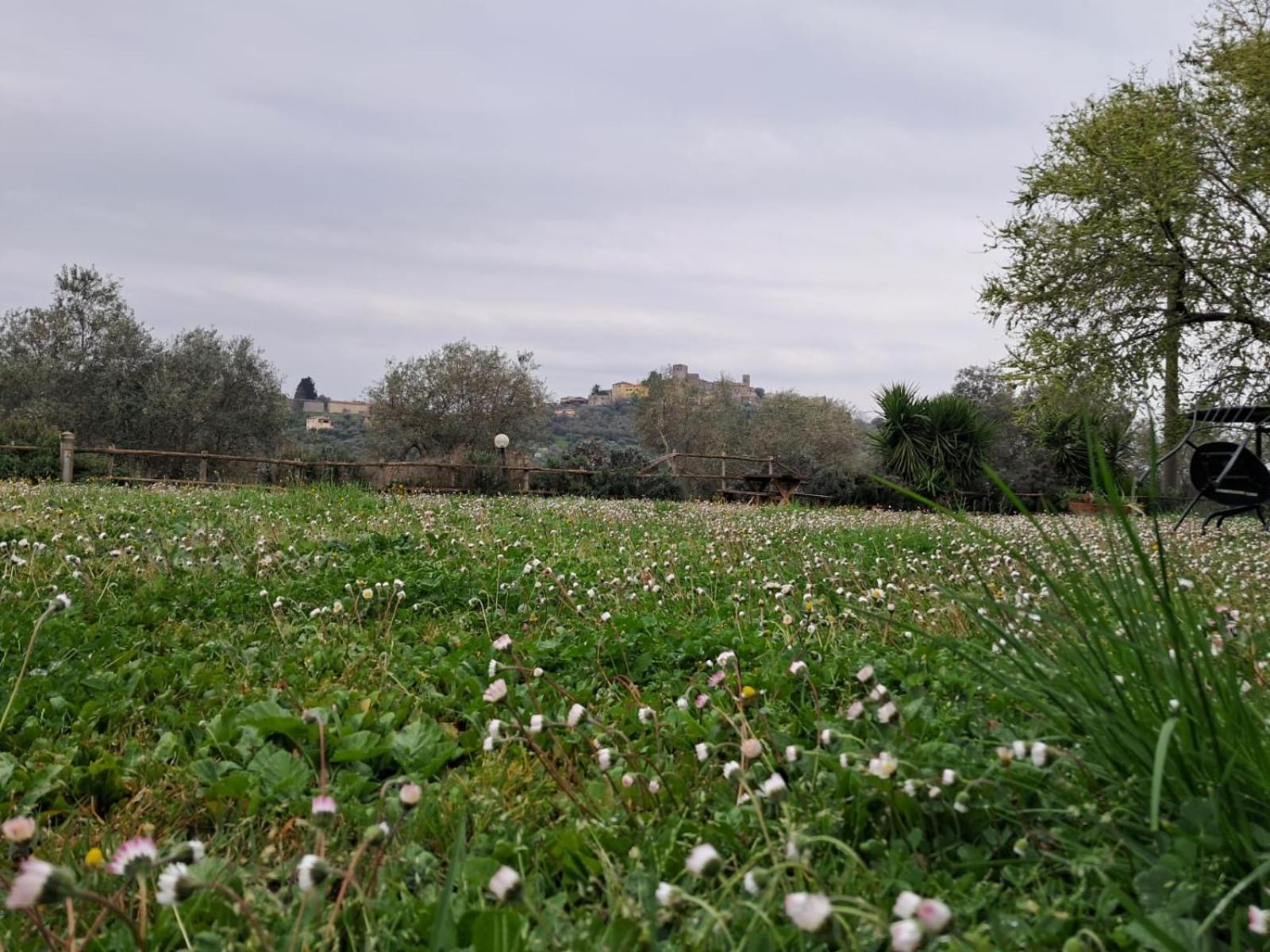 8380 Agriturismo Il Saragiolo Manciano Dış mekan fotoğraf